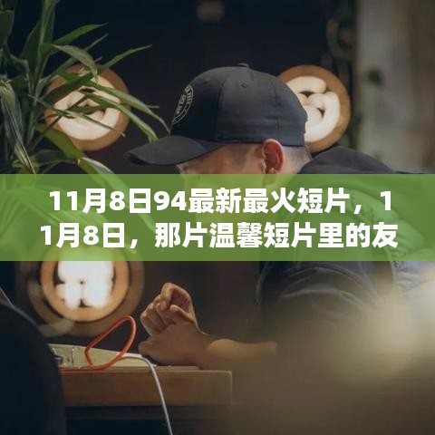 11月8日温馨短片，友情火花与家的温暖