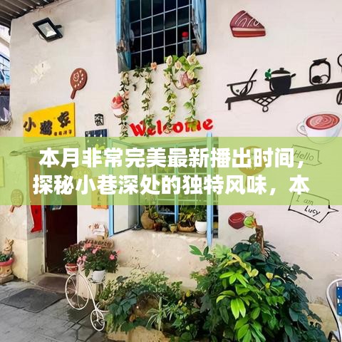 本月完美新播，小巷深处的独特风味小店惊艳时光探秘之旅