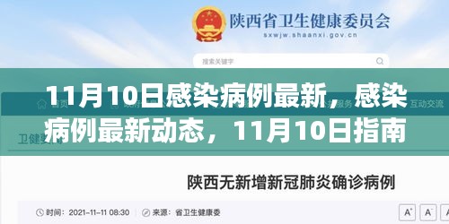 11月10日感染病例最新动态，获取准确信息及应对技能的指南