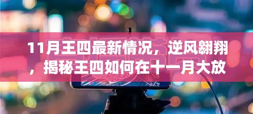 揭秘王四11月逆风翱翔之路，如何大放异彩，你也可以闪耀光芒？