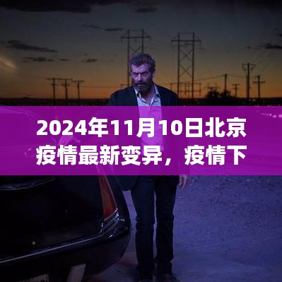 北京疫情最新变异下的温情与友情日常，2024年11月10日最新观察