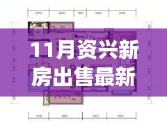 11月资兴新房出售最新消息及购房全攻略，零基础也能轻松掌握！