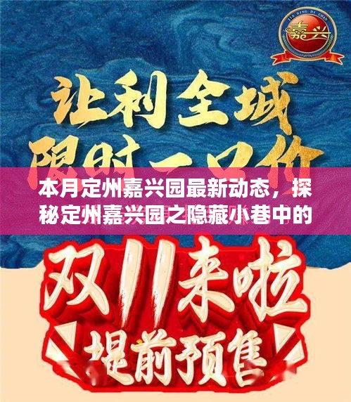 本月定州嘉兴园最新动态，探秘隐藏小巷的独特风味——新鲜打卡指南