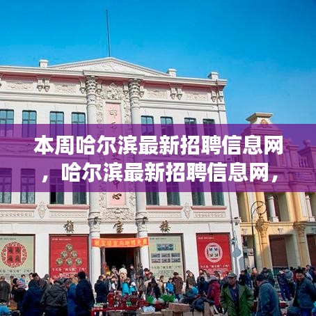 时代脉搏下的招聘风向标，本周哈尔滨最新招聘信息网汇总