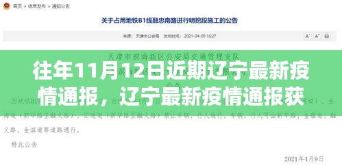 辽宁最新疫情通报获取指南，轻松掌握每日疫情动态动态更新