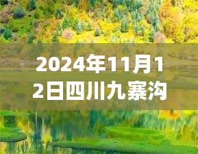 2024年11月12日四川九寨沟最新情况，自然恢复与旅游新篇章开启