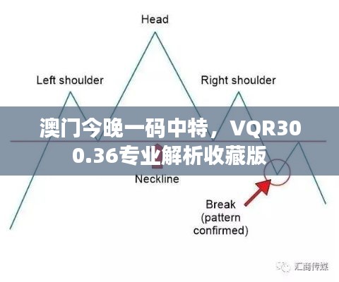 澳门今晚一码中特，VQR300.36专业解析收藏版