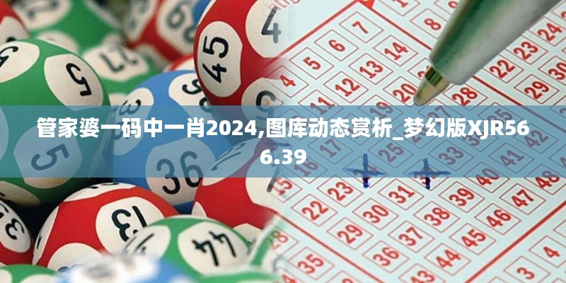 管家婆一码中一肖2024,图库动态赏析_梦幻版XJR566.39