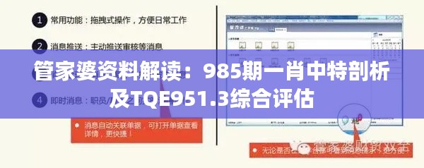 管家婆资料解读：985期一肖中特剖析及TQE951.3综合评估