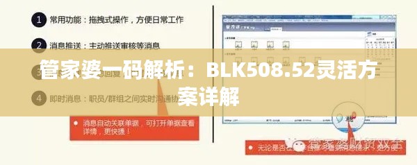 管家婆一码解析：BLK508.52灵活方案详解