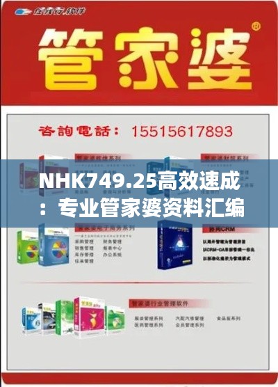 NHK749.25高效速成：专业管家婆资料汇编