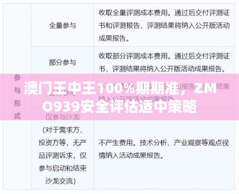 澳门王中王100%期期准，ZMO939安全评估适中策略