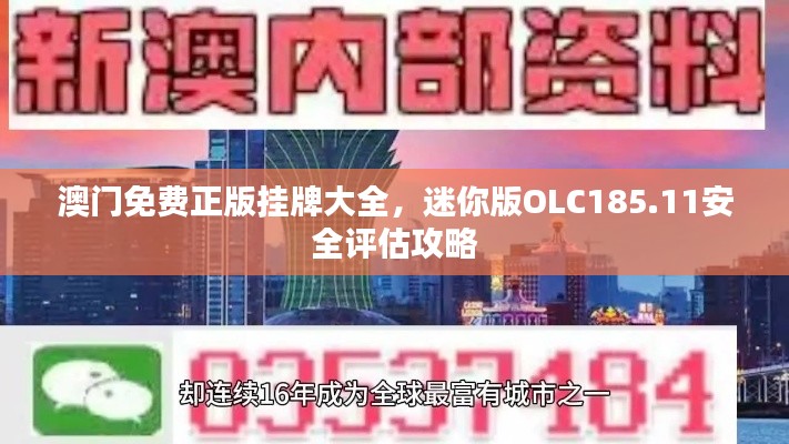 澳门免费正版挂牌大全，迷你版OLC185.11安全评估攻略