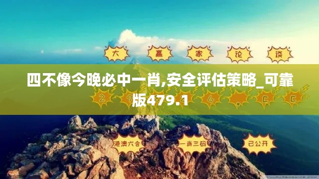 四不像今晚必中一肖,安全评估策略_可靠版479.1