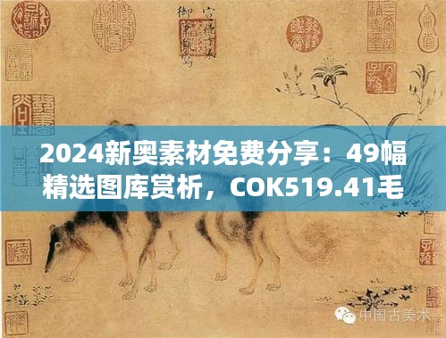 2024新奥素材免费分享：49幅精选图库赏析，COK519.41毛坯版图集