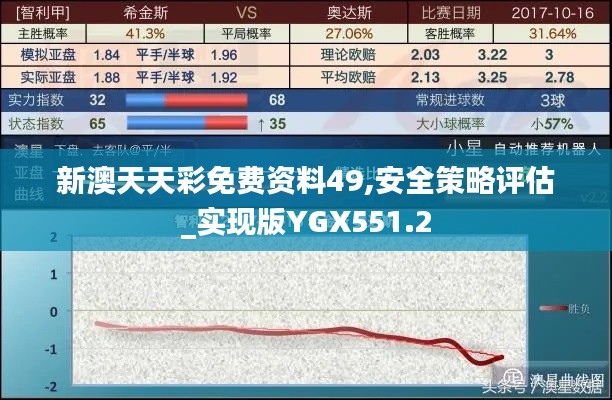 新澳天天彩免费资料49,安全策略评估_实现版YGX551.2