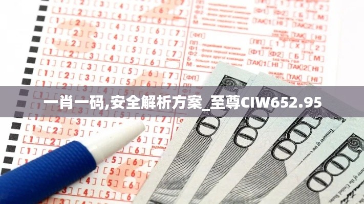 一肖一码,安全解析方案_至尊CIW652.95