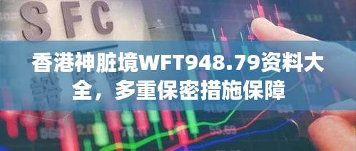 香港神脏境WFT948.79资料大全，多重保密措施保障