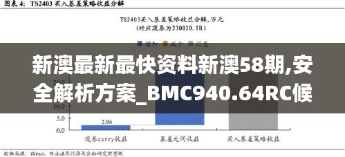 新澳最新最快资料新澳58期,安全解析方案_BMC940.64RC候选版 