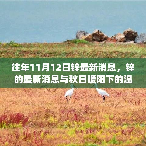 秋日暖阳下的锌情，最新锌消息与温情故事回顾