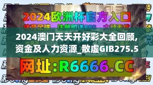 2024澳门天天开好彩大全回顾,资金及人力资源_散虚GIB275.58