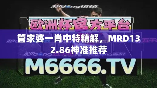 管家婆一肖中特精解，MRD132.86神准推荐