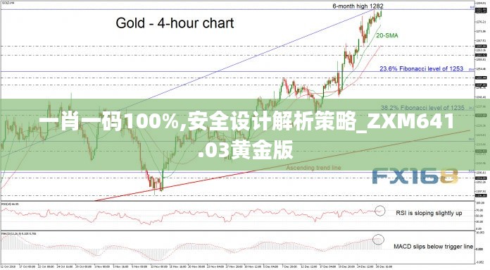 一肖一码100%,安全设计解析策略_ZXM641.03黄金版