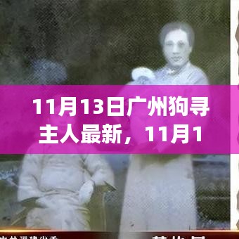 广州狗狗寻找主人最新进展，温暖重逢与寻宠路上的希望（11月13日更新）