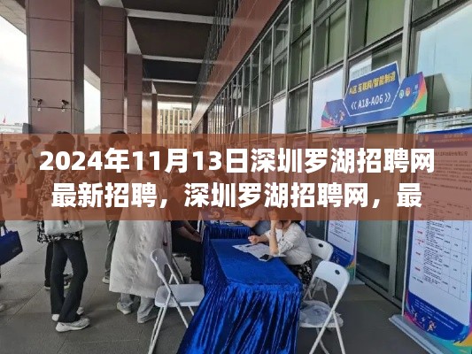 深圳罗湖招聘网最新动态，2024年招聘趋势与深远影响分析