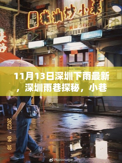 深圳雨巷探秘，美味惊喜与雨中的小巷风情