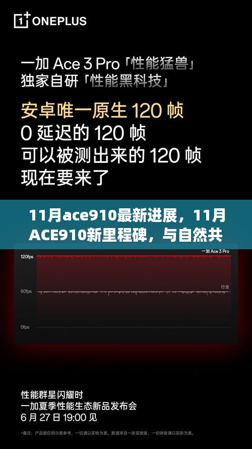 ACE910新里程碑，与自然共舞的心灵静谧之旅（11月最新进展）