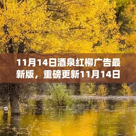 11月14日酒泉红柳广告最新版，重磅更新，精彩纷呈