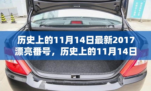 历史上的11月14日最新2017漂亮番号，历史上的11月14日，探寻那些闪耀的瞬间与美好记忆🌟