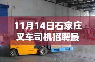 11月14日石家庄叉车司机招聘最新消息深度解析与介绍