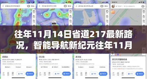 往年11月14日省道217最新路况及智能导航体验报告，科技引领未来出行之路