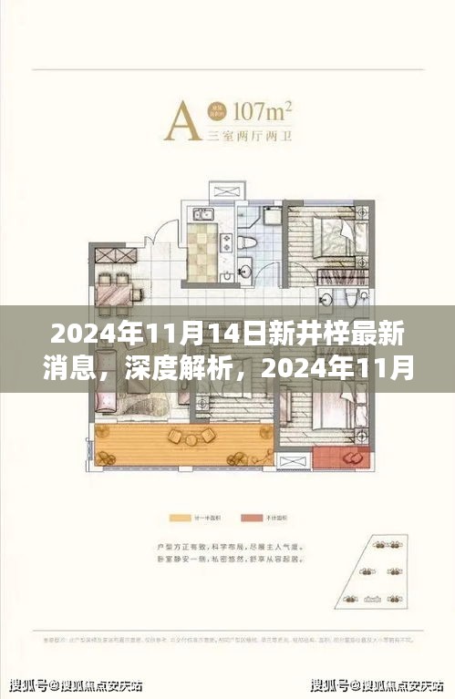 深度解析，2024年11月14日新井梓产品最新消息揭秘，特性、用户体验与目标用户群体探讨