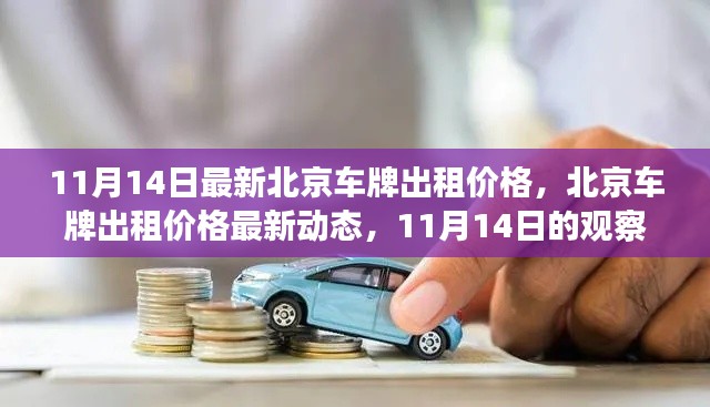 北京车牌出租价格最新动态，11月14日的观察与解读