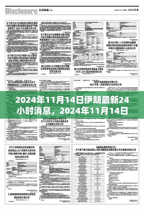 2024年11月14日伊朗最新消息综述