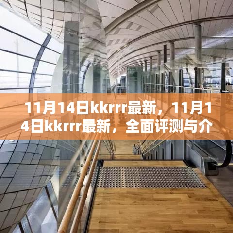 11月14日kkrrr最新资讯，全面评测与介绍