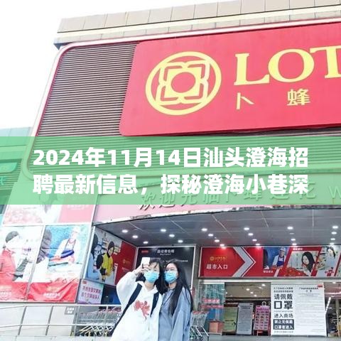 2024年汕头澄海最新招聘信息揭秘，小巷深处的独特小店招聘动态