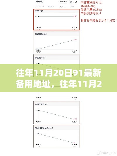 往年11月20日最新备用地址全面评测与介绍