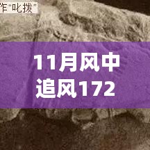 揭秘，风中追风最新装备的时代地位与影响，逐风而行，价值高达172万装备重磅登场！