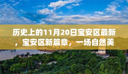 宝安区新篇章启程，探寻自然美景之旅，温暖阳光下的宝安区探寻日（11月20日）