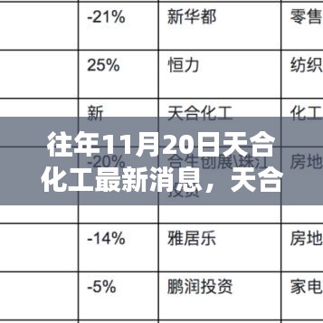 天合化工最新动态解读，产品特性、用户体验与目标用户分析揭秘