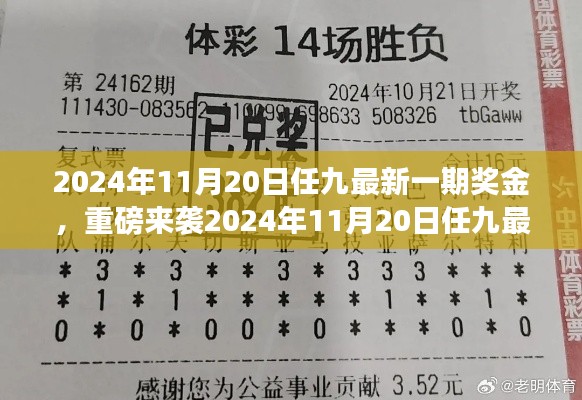 揭秘2024年11月20日任九最新一期奖金揭晓，财富密码大解密！