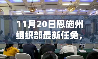 恩施州组织部最新任免动态解析及用户群体分析，特性、体验与竞品对比报告