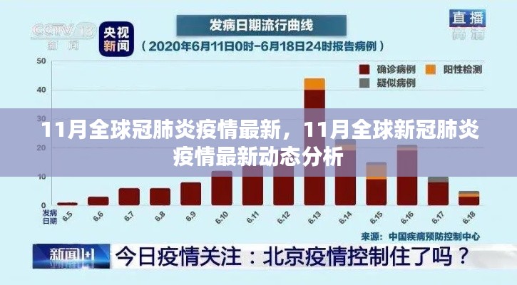 11月全球新冠疫情最新动态分析与综述