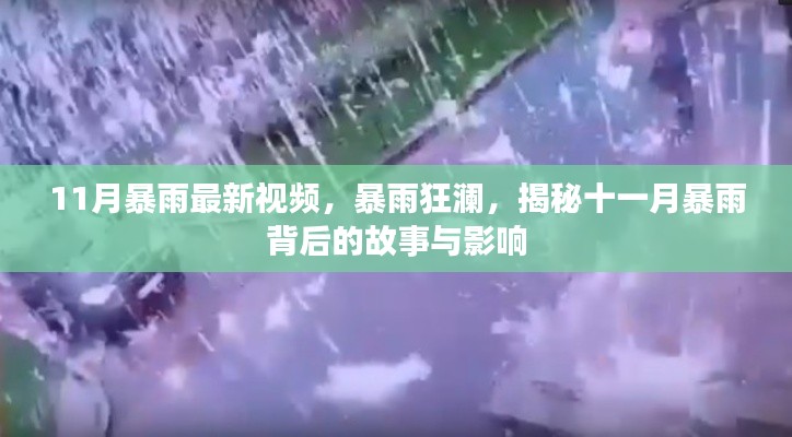 揭秘十一月暴雨背后的故事与影响，暴雨狂澜最新视频报道