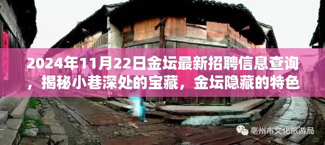 揭秘金坛隐藏特色小店与最新招聘信息奇遇记，2024年11月22日金坛招聘信息深度查询