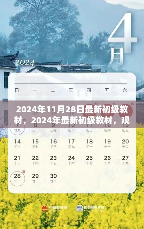 观点阐述与深度分析，最新初级教材深度解读（2024年最新版）